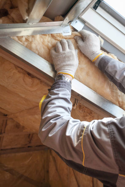 Professional Insulation Contractor in Dresden, TN